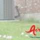 outdoor air condenser unit