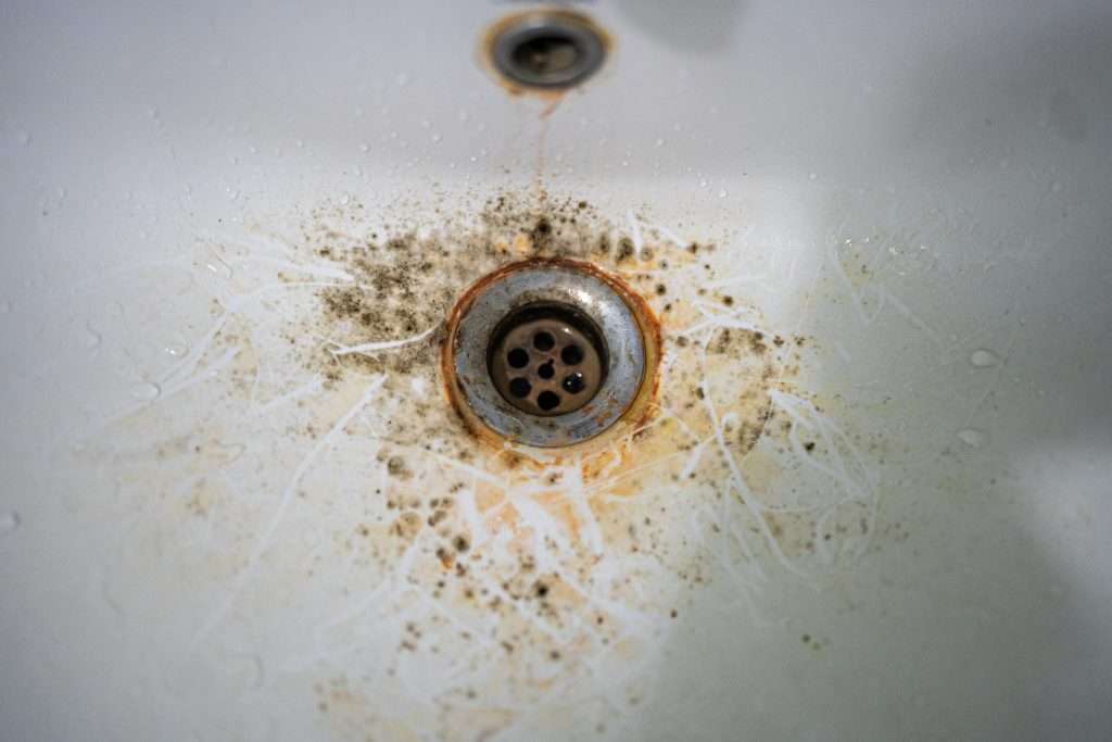 Drain top